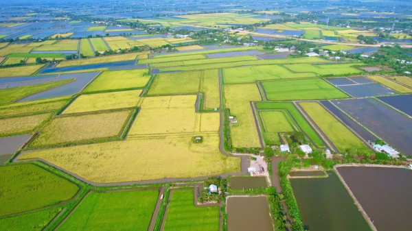 Cà Mau lập 13 phường: Hồng Dân với khát vọng vươn lên mạnh mẽ Cà Mau lập 13 phường: Hồng Dân với khát vọng vươn lên mạnh mẽ