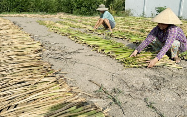 Cà Mau lập 13 phường: Hồng Dân với khát vọng vươn lên mạnh mẽ Cà Mau lập 13 phường: Hồng Dân với khát vọng vươn lên mạnh mẽ
