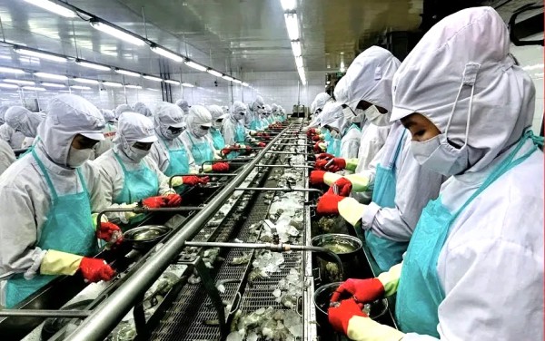 Cà Mau lập 13 phường: Vì sao Lương Thế Trân trở thành phường công nghiệp mới? Cà Mau lập 13 phường: Vì sao Lương Thế Trân trở thành phường công nghiệp mới?