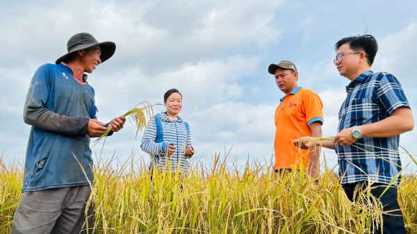 Cà Mau lập 13 phường: Vì sao Lương Thế Trân trở thành phường công nghiệp mới? Cà Mau lập 13 phường: Vì sao Lương Thế Trân trở thành phường công nghiệp mới?