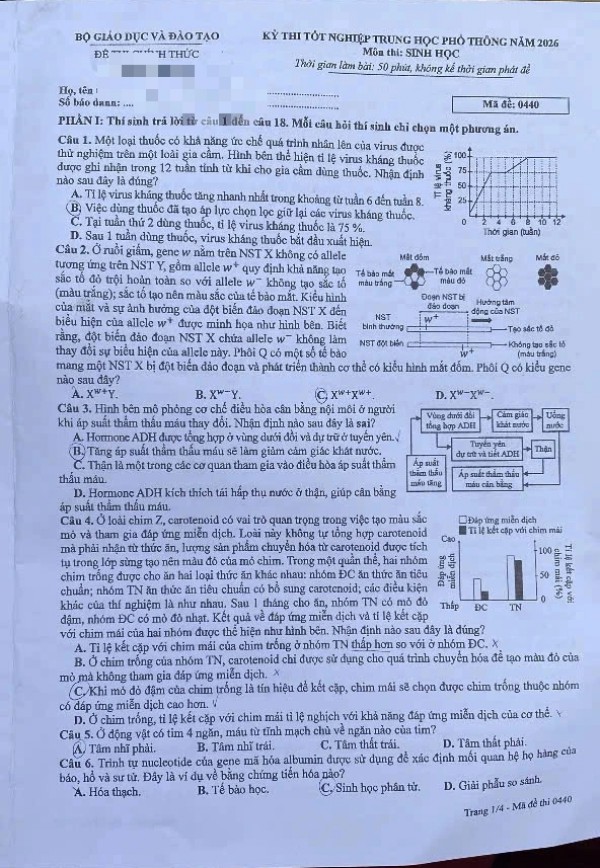 Thi tốt nghiệp THPT 2026: Đề chính thức môn sinh học xem tại đây Thi tốt nghiệp THPT 2026: Đề chính thức môn sinh học xem tại đây