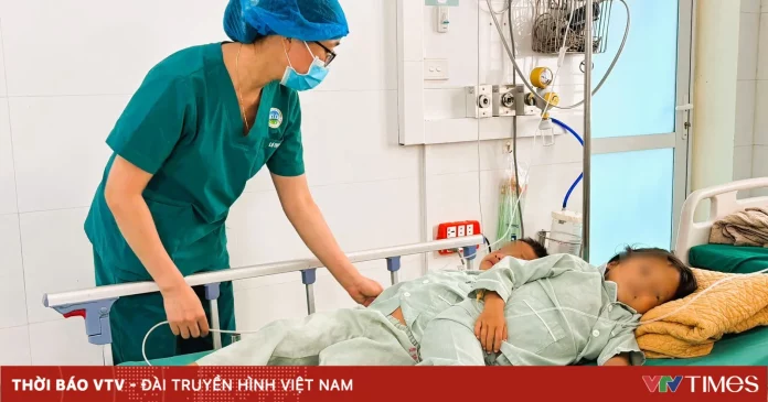 7 ca nhập viện vì ăn nấm rừng, nguy cơ ngộ độc gia tăng vào mùa mưa