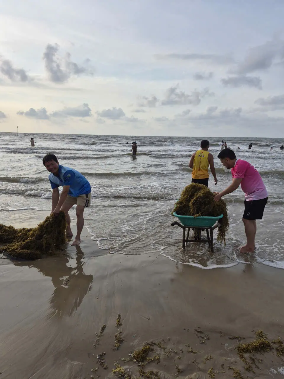 Biến 'rác biển' Vũng Tàu thành nguyên liệu Đông y Biến 'rác biển' Vũng Tàu thành nguyên liệu Đông y