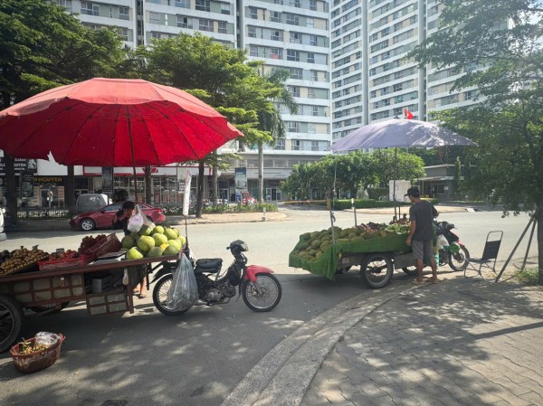 Nghịch lý giá trái cây Nghịch lý giá trái cây