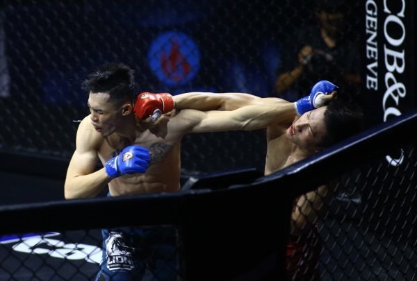 Cảnh báo nóng về website cá cược trái phép liên quan MMA tại Việt Nam