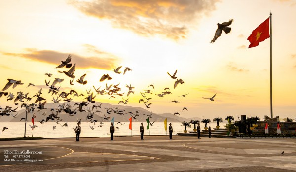 Nha Trang luôn mới qua góc nhìn Trần Anh Khoa Nha Trang luôn mới qua góc nhìn Trần Anh Khoa
